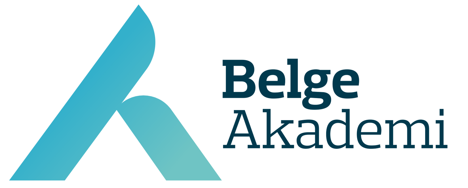 Belge Akademi